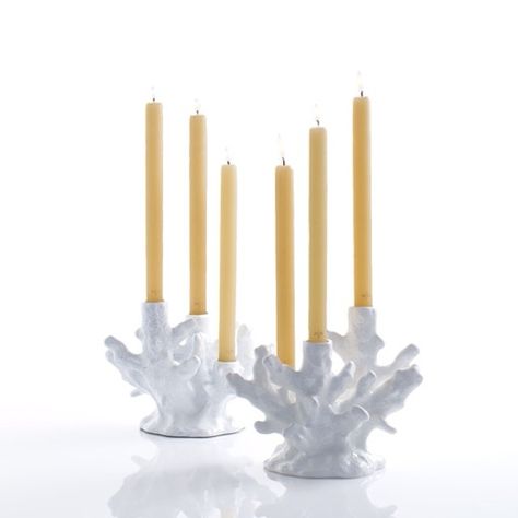 Italian coral candlesticks.. Exquisite.. Hudson Grace exclusive Coral Candle Holder, Organic Interior, Diy Witch, Hudson Grace, Three Candles, Witch Diy, Diy Candle Holders, Decor 2024, Timeless Decor