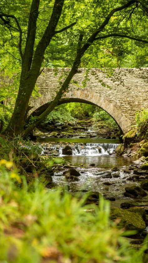 A low stone bridge over a river with a small waterfall in and Ireland forest Irish Aesthetic, Emerald Isle Ireland, Killarney National Park, Ireland Aesthetic, Beautiful Ireland, Ireland Pictures, Images Of Ireland, Galway City, Kerry Ireland