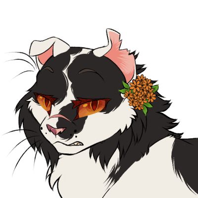 I always wanted to make one of these but I never had the time to actually even begin to do so. But during christmas break I decided to start on a whim and I didn't stop till I finished. This was done in about two-three weeks, maybe I'll add more stuff later who knows. Picrew Cat Maker, Warrior Cats Icon, Warriors Oc, Cat Website, Pic Crew, Oc Maker, Mc Wallpaper, Warrior Cats Fan Art, Warrior Cat Drawings