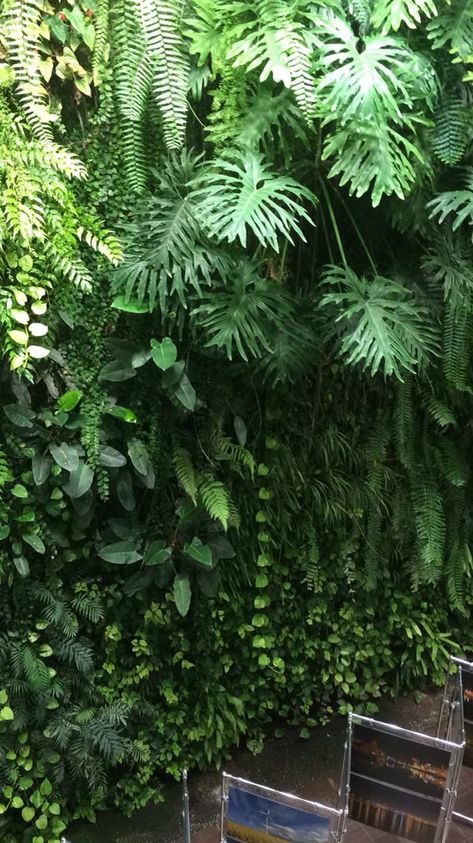 Green Wall Plants, Vertikal Garden, Vertical Garden Plants, Wall Green, Vertical Garden Design, Tropical Garden Design, Vertical Vegetable Garden, Jungle Gardens, Backyard Shade