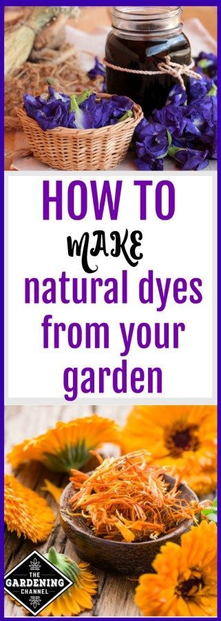 If you like gardening or spending time in nature, you might enjoy making and using dyes from plants. Dyes from flowers, fruits, and leaves of garden plants and wildflowers create unique, mellow colors very unlike the dense colors from commercial dyes. And with natural plant dyes you don’t need to use dangerous chemical Nature Art Ideas, Diy Dye Clothes, Tinta Natural, Mellow Colors, Diy Dye, Natural Dye Fabric, Eco Dyeing, Fabric Dye, Eco Printing