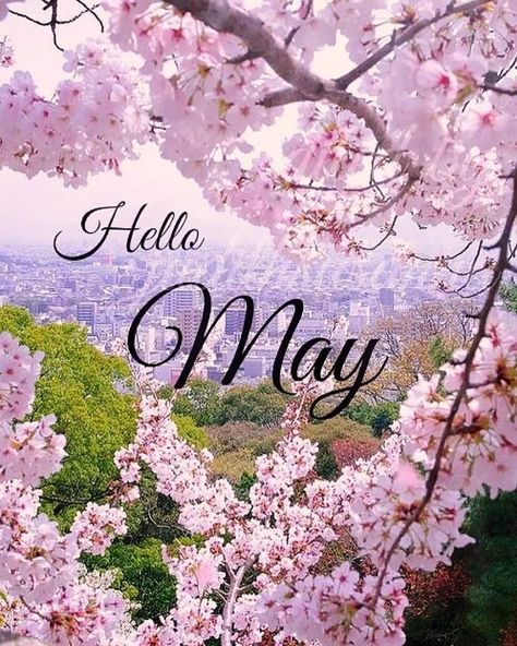 Hello everyone and welcome May. I declare that it would come full of prosperity, healthiness and many good positive energy. Have a great day. Believe and it would happen. #lovequotes #hellomay #behappy #bepositive #beyou #beyourself #enjoylife #enjoylittlethings #womenempowerment #womensupportingwomen Hello Pictures, New Month Wishes, Autumn Pictures, Welcome May, Welcome Pictures, Hello January, 1. Mai, I Declare, Wallpaper Video