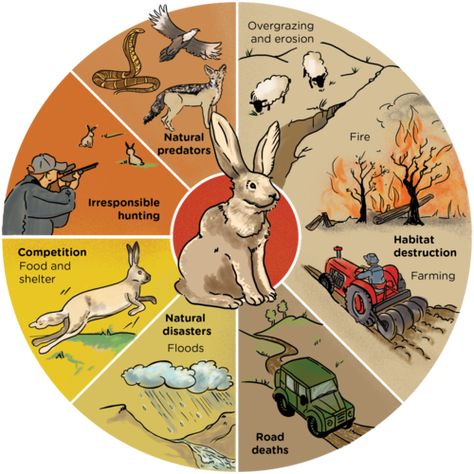 Food Chains And Food Webs, Science Food Chains, Food Webs, Trophic Level, Energy Pyramid, Food Chains, Marine Ecosystem, Energy Transfer, Food Web