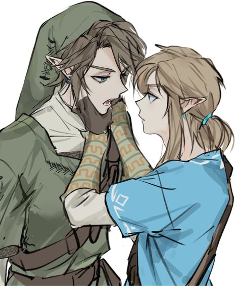 Twilight Link, Link Twilight Princess, Zelda Funny, Zelda Twilight Princess, Ben Drowned, Link Zelda, Disney Artwork, Zelda Art, Legend Of Zelda Breath