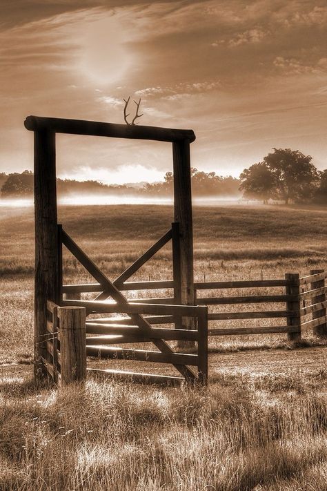 Sepia Toned Photography, Sepia Aesthetic Vintage, Sepia Aesthetic, Sepia Landscape, Sepia Photos, Kate Siegel, Landscape Fence, Tropical Prints Pattern, Cowboy Photography