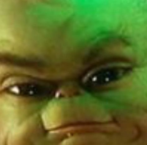 Pin by fanny on meme | Funny memes, Funny reaction pictures, Funny profile pictures Baby Grinch, Grinch, Green, Hair