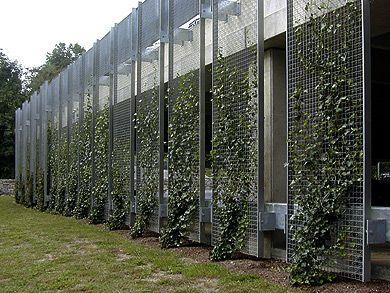 green screen Creeper Trellis, Living Fences, Green Facade, Dublin Airport, Living Fence, Compound Wall, Garden Screening, Walled Garden, Lan Can