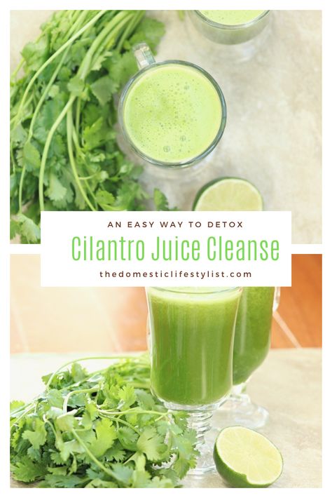 Cilantro Tea Recipe, Cilantro Juice Recipe, Cilantro Smoothie Recipes, Cilantro Drink, Cilantro Water, Cilantro Smoothie, Breakfast Detox Smoothie, Cilantro Benefits, Green Detox Juice