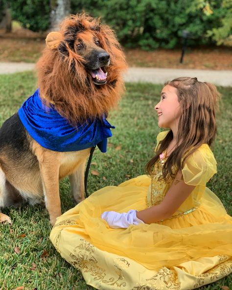 Beauty And The Beast Costume Dog, Dog Beauty And The Beast Costume, Beauty And The Beast Halloween, The Beast Costume, Belle Halloween, Beauty And The Beast Costume, Beast Costume, Halloween Disney, Dog Costumes