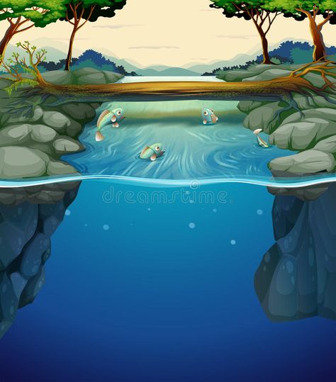 Underwater River, Easy Science Fair Projects, River Illustration, River Pictures, Underwater Fish, River Painting, Fish Graphic, River Fishing, About Nature