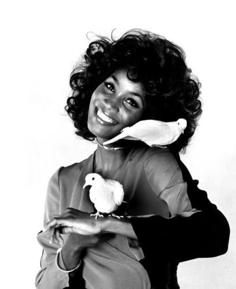 Teresa Graves, Black Glamour, Black Actresses, Vintage Black Glamour, Black Hollywood, Black Femininity, Poses References, Old Hollywood Glamour, Tarzan