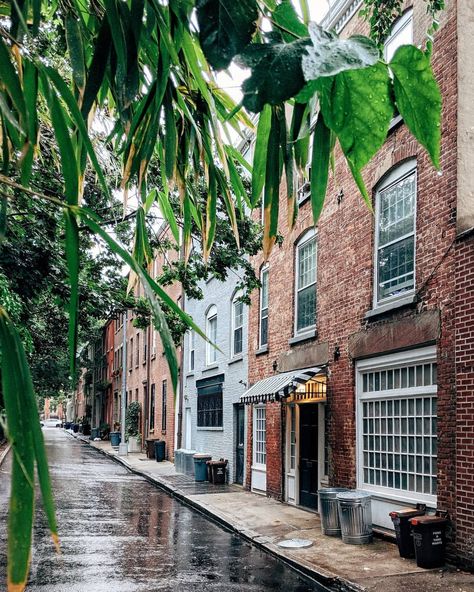 Cobble Hill Brooklyn, Cobble Hill, New York State, Urban Jungle, Apartment Therapy, Beautiful Destinations, Last Minute, Just Go, Rain Boots