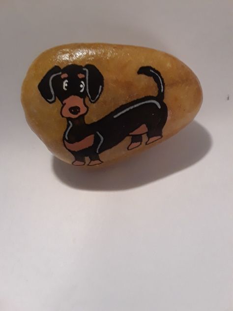 Dachshund Rock Painting, Animal Rock Painting Ideas, Rock Painting Ideas For Beginners, Animal Rock Painting, Easy Rock Painting Ideas, Easy Rock Painting, Rock Animals, Adorable Bunnies, Garden For Beginners