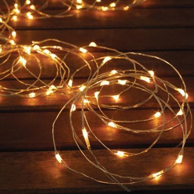 Solar-Powered 150-Bulb Micro LED String Lights #ledlights #microled #stringlights #outdoorlights #affiliatelink Copper Wire Fairy Lights, Wire Fairy, Wedding Garden Party, Solar Energy Facts, Wire Fairy Lights, Led Fairy String Lights, Novelty Lights, Garden Area, Wedding Garden