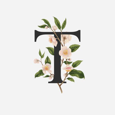 Illustrated Alphabet, Flower Typography, Lion Sketch, Strong Typography, T Wallpaper, Food Art Photography, Safari Cakes, Painted Illustration, Day Illustration