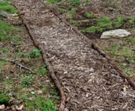 mulch path Cheap Garden Path, Diy Walking Path, Rock Walkway, Garden Path Ideas, Diy Pathway, Tree Mulch, Diy Path, Flagstone Path, Landscape Timbers