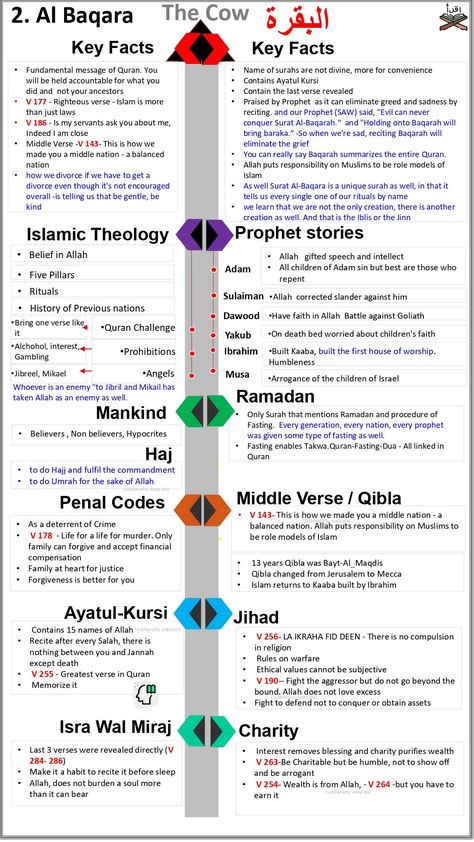 How To Read Quran, Muslim Words, Best Islamic Books, Coran Quotes, Islam Lesson, Quran Tafseer, Tajweed Quran, Islam Beliefs, Quran Book