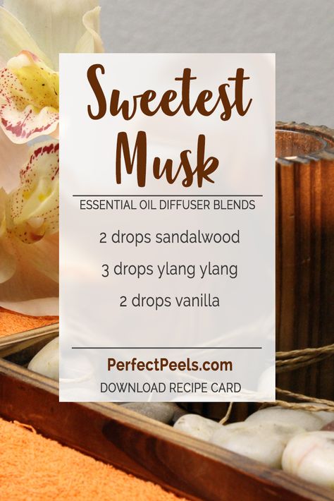 Essential oil diffuser blend with sandalwood. How To Make Vanilla Essential Oil, Sandalwood Essential Oil Blends Perfume, Sandalwood Oil Blends, Oud Essential Oil Blends, Santal 33 Essential Oil Blend, Sandlewood Essential Oil Diffuser Blends, Sandalwood Diffuser Blend, Sandalwood Diffuser Blends, Sandalwood Essential Oil Blends