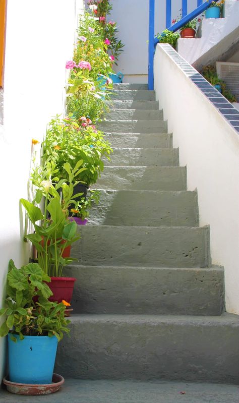 Steps Decoration Ideas Indian, Indian House With Garden, Terrace Garden Indian Home, Staircase Indian Home, Staircase Flower Decoration Indian, Colorful Room Decor, Easy Room Decor, Indian Home Design, Home Decor Crate