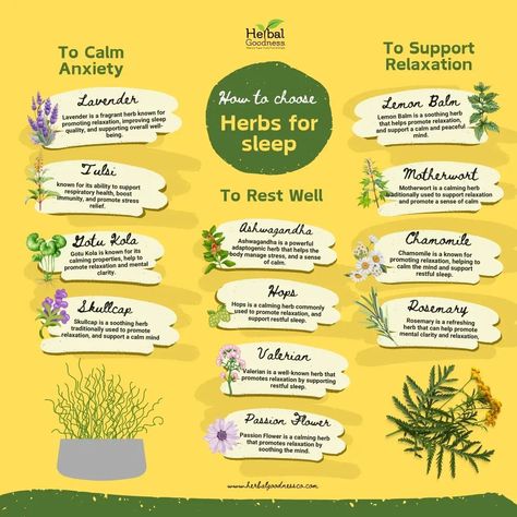 Here's how to choose the right herbs for a restful night: Look for herbs like Chamomile for calming effects, Valerian Root for relaxation, and Lavender for the mind. Each herb works differently, so experiment to find the one that works best for you! 😴🌿 #HerbalRemedies #SleepBetter #NaturalSleep #HerbalGoodness #RestfulNights #HolisticWellness Calming Herbs, Adaptogenic Herbs, Valerian Root, Respiratory Health, Lemon Lavender, Valerian, Lemon Balm, Improve Sleep, Holistic Wellness