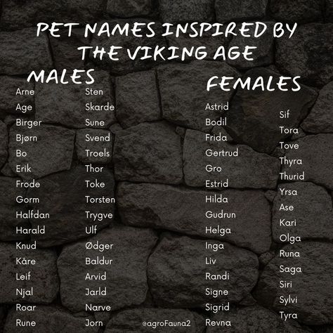 A list of pet names inspired by the viking age Viking Baby Names, Celestial Baby Names, Norse Names, Viking Names, Warrior Names, Writing Inspiration Tips, Best Character Names, Fantasy Names, Name Inspiration