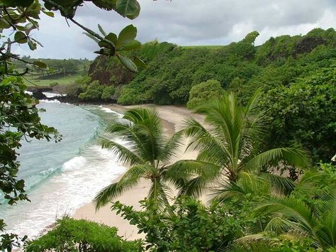 Gorgeous Hamoa Beach, Hana... Hana Maui Hawaii, Hana Maui, Maui Hawaii, Ocean Beach, Maui, Palm Trees, Life Is Good, Hawaii, The Beach