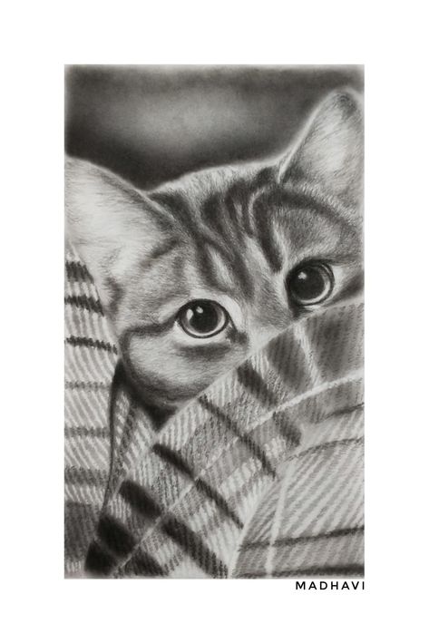 #cat #charcoal sketch Animal Charcoal Sketches, Charcoal Sketches Realistic, Charcoal Sketches Easy, Charcoal Pencil Sketches, Charcoal Pencil Art, Charcoal Sketching, Easy Charcoal Drawings, Charcoal Drawing Ideas, Realistic Flower Drawing