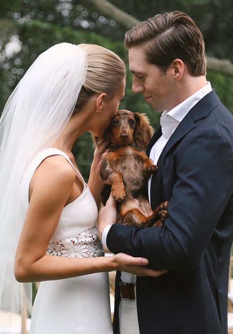 Dog Wedding Pictures, Dog Wedding Photos, Dachshund Wedding, Fun Facts About Dogs, Photos With Dog, Sausage Dogs, Dog Wedding, Wedding Picture, Bridal Shoot