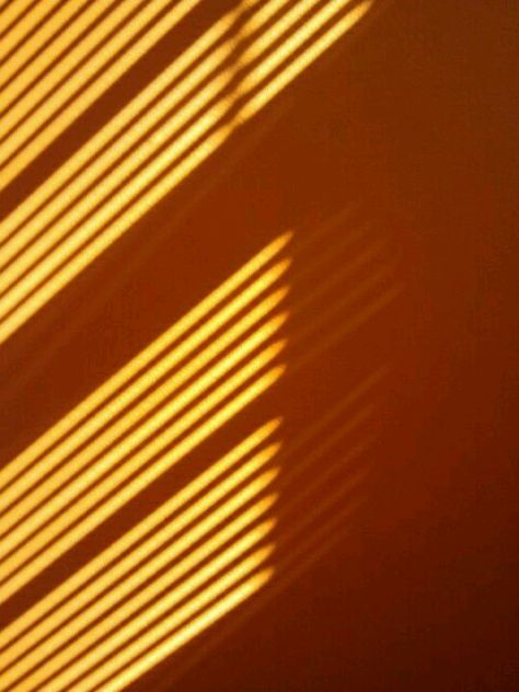 Blinds Shadow, Light And Shadow Photography, Polaroid Picture Frame, Sun Blinds, Grid Wallpaper, Artsy Photos, Shadow Photography, Story Ideas Pictures, Photographs Ideas