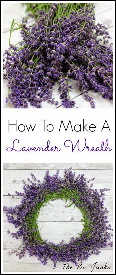 How To Make A Lavender Wreath Lavender Crafts, Lavender Wreath, Lavender Plant, Lavender Farm, Lovely Lavender, Deco Floral, Décor Diy, Wreath Crafts, Herb Garden