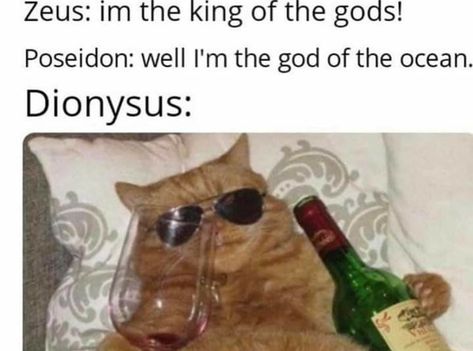 Historical Humor, Greek Memes, Greek Mythology Humor, History Jokes, History Quotes, Percy Jackson Memes, History Humor, Percy Jackson Funny, Greek Myths