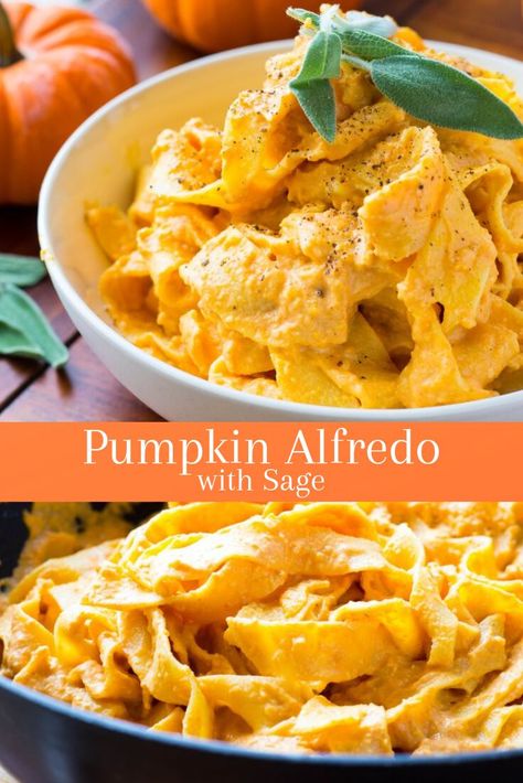 October Dinners, Pumpkin Alfredo Pasta, Fresh Pumpkin Recipes, Pumpkin Alfredo, Heathly Recipes, Pumpkin Recipes Dinner, Fall Pasta, Fall Dinners, Fall Meals