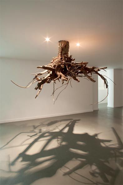 Wonderful tree root art, interesting on different levels....Rooted yet suspended...tangled yet mere shadows to walk through.....'humus 2012' by giuseppe licari Wc Decoration, Boom Kunst, Diy Studio, Architecture Ideas, Tree Roots, Stonehenge, Sculpture Installation, Pinocchio, Plant Art