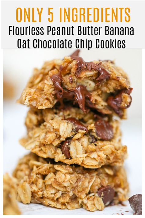 Flourless Peanut Butter Banana Oat Chocolate Chip Cookies – 5 Ingredients Banana Oat Chocolate Chip Cookies, Banana Oat Chocolate Chip, Cc Cookies, Peanut Butter Banana Oats, Oat Chocolate Chip Cookies, Macro Counting, Banana Oatmeal Cookies, Banana Oat, Chocolate Oats