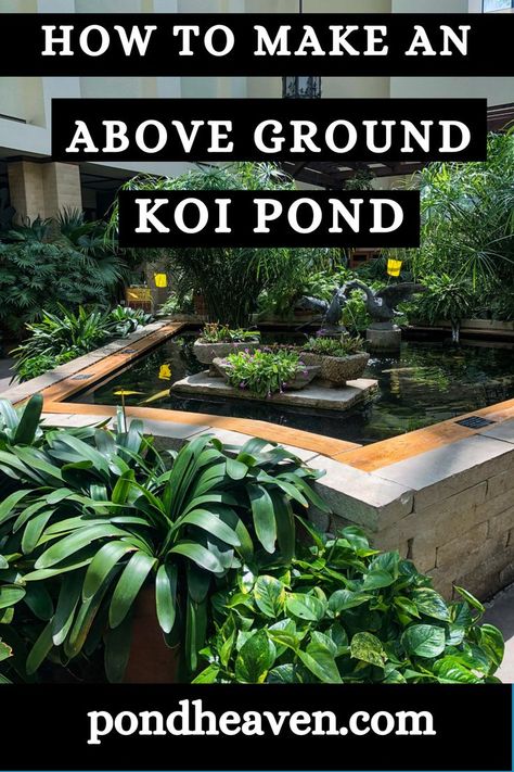 How to build a above ground koi pond Pond Above Ground, Pond Filter Diy, Koi Pond Backyard, Koi Garden, Pond Filter System, Pond Diy, Above Ground Pond, Fish Names, Fish Ponds Backyard