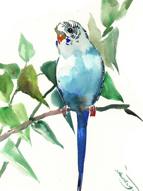 White Budgie, Parakeet Art, Complementary Color Scheme, Green Budgie, Paint Your Pet, Bird Watercolor Paintings, Watercolor Birds, Bird Watercolor, Gallery Space