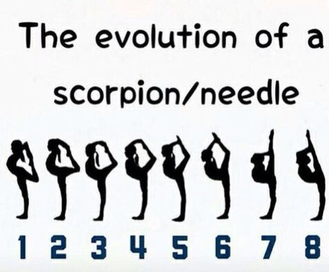 Evolution of a scorpion/needle. Working our way to 8! Beginner Pilates, Gymnastics Flexibility, Dance Stretches, Trening Sztuk Walki, Cheer Workouts, Flexibility Dance, Gymnastics Skills, Ballet Exercises, Pilates Video