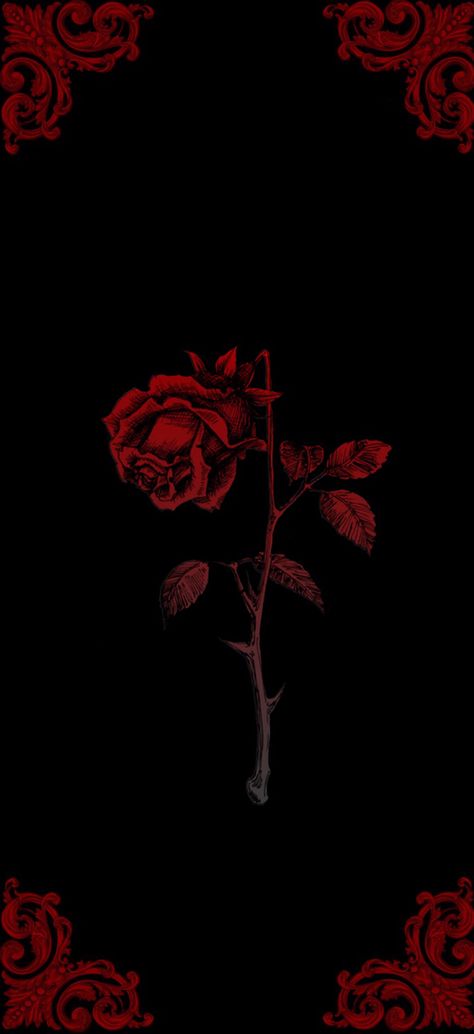 Pretty Dark Wallpapers For Iphone, Aesthetic Red Rose Wallpaper, Tv Wallpaper Design, Red Core Wallpaper, Gothic Red Aesthetic, Dark Grunge Aesthetic Wallpaper, Dark Red Background Aesthetic, Red Gothic Wallpaper, Coffin Background