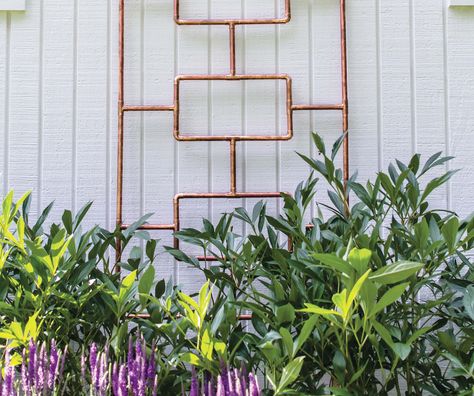 Copper Trellis, Climbing Indoor, Small Fruit Trees, Wall Trellis, Moss Pole, Diy Copper, Diy Garden Trellis, Coco Coir, Garden Obelisk