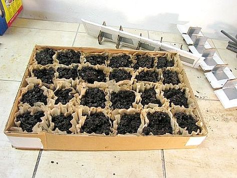 10 Clever Seed Starting Ideas- Coffee Filter Seed Tray- Start your seeds the frugal way with these 10 DIY upcycled seed starting containers! So many inexpensive everyday items can make great seed starters! | DIY seed starting container hacks, how to start seeds, frugal gardening, save money on gardening, gardening tips, upcycled seed starting containers, gardening hacks #gardening #seedStarting #ACultivatedNest Coffee Filters Diy, Seed Starting Containers, Seed Starters, Frugal Gardening, Seedling Pots, Coffee Filter Crafts, Starting Seeds Indoors, Seed Starter, Areas Verdes