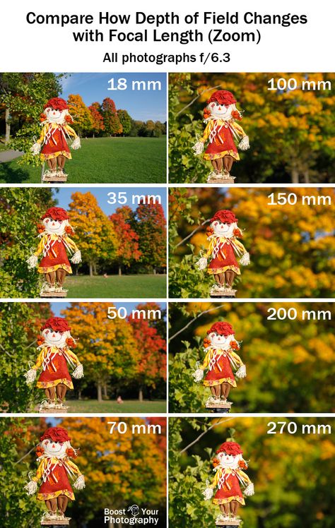 Depth of Field: it's more than just aperture | Boost Your Photography Photography Depth Of Field, Manual Photography, Digital Photography Lessons, Photography Settings, Photography Cheat Sheets, Photo Techniques, Photography Help, Photography Basics, Foto Tips