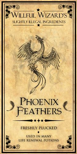 Phoenix Feathers Harry Potter Potion Labels, Posters Harry Potter, Imprimibles Harry Potter, Modele Pixel Art, Halloween Potion Bottles, Halloween Apothecary, Phoenix Feather, Harry Potter Printables, Harry Potter Potions