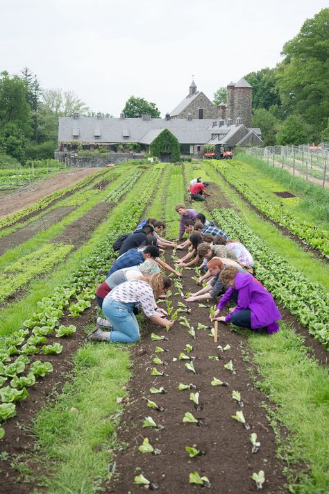 Life On Land, Kitchen Mural, Manifesting 2024, Farm Work, Field Work, Farm Land, Professional Development For Teachers, Diverse People, We Are Teachers