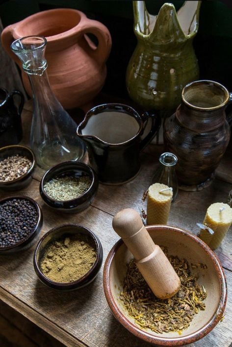 Healer Aesthetic, Allergy Remedies, Yennefer Of Vengerberg, Herbal Healing, Herbal Magic, Witch Aesthetic, Healing Herbs, Medicinal Herbs, Spice Blends