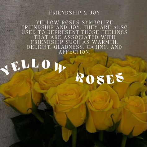 #yellow #roseaesthetic #rose Yellow Rose Meaning, Rose Poems, Friends Aesthetics, Rose Meaning, Rosé Aesthetic, Yellow Roses, Yellow Rose, Garden Inspiration, Roses