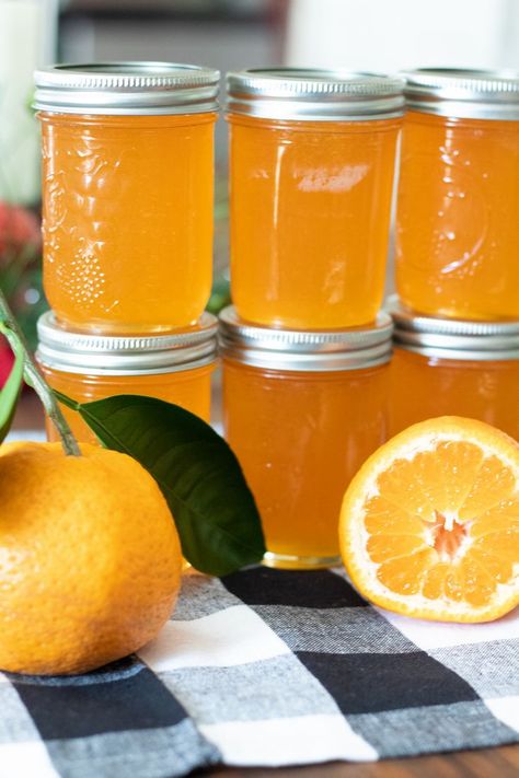 This flavorful homemade Satsuma Jelly recipe makes the perfect sweet and tangy citrus condiment perfect to serve with biscuits, toast, crackers, and a variety of foods. Canning Satsuma Oranges, Satsuma Marmalade Recipes, Satsuma Pepper Jelly Recipe, Satsuma Jelly Recipes, Satsuma Jam Recipe, Satsuma Jelly, Vegan Canning, Orange Jelly Recipe, Satsuma Recipes