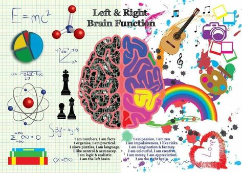 Left Brain And Right Brain, Left And Right Brain Art, Infographic Psychology, Brain Infographic, Brain Lobes, Brain Png, Left And Right Brain, Brain Diagram, Left Brain Right Brain