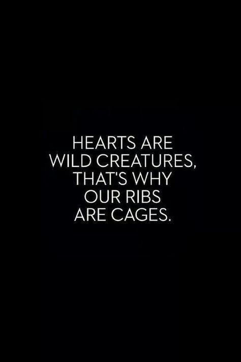 Caged heart Bohol, Mindfulness Meditation, Inspiration Quotes, Quotable Quotes, Pretty Words, Cute Quotes, Beautiful Quotes, The Words, Great Quotes