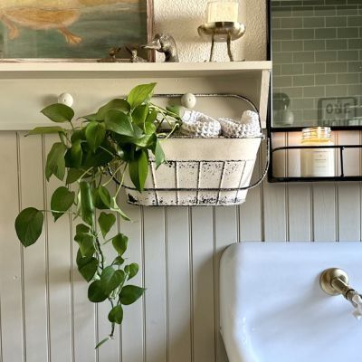 THE COLLECTED COTTAGE | Shop Sales Events Antique Farmhouse Pulley Decor, Cottage Core Kitchen, Kitchen Antique, Bucket Planters, Metal Tub, Classic Window, Aging Metal, Vintage Basket, Wooden Wall Shelves