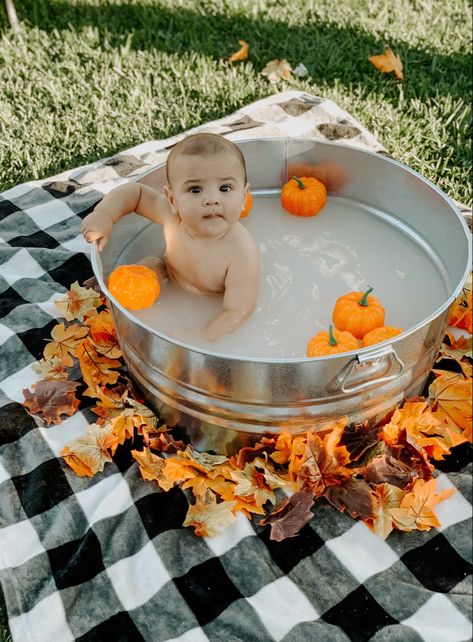 Baby Fall Photos, Fall Milk Bath, Holiday Baby Pictures, Fall Baby Photos, Baby Milk Bath, Baby Holiday Photos, Fall Baby Pictures, Bath Pictures, Baby Milestones Pictures